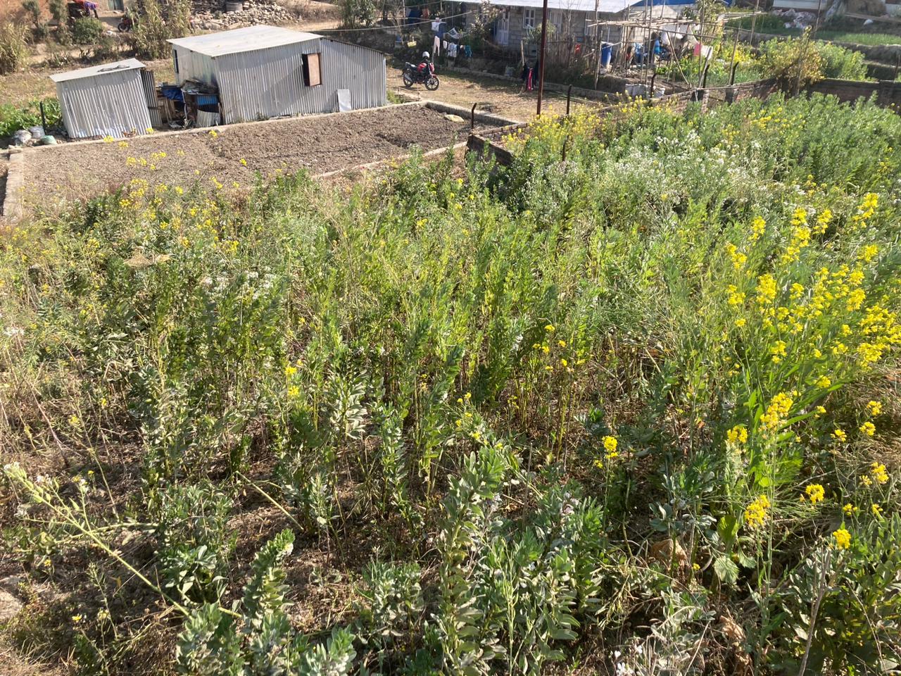 Picture of Mahalaxmi Municipality, Bagmati
